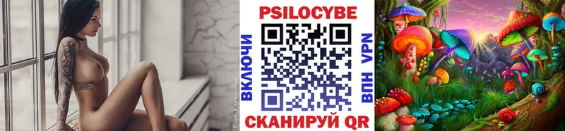 купить сайты MEGA зеркало Псилоцибиновые грибы Psilocybe Богородск
