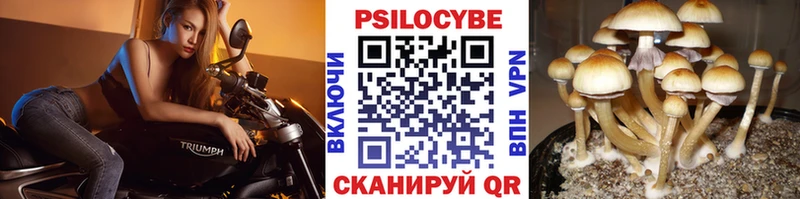 Псилоцибиновые грибы MAGIC MUSHROOMS Богородск